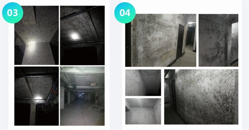 霉菌的溫床：地下車庫或儲藏室潮濕、滲漏...(圖2)