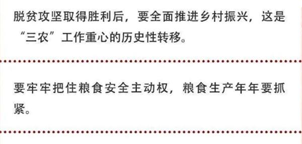 2020年中央農(nóng)村工作會(huì)議精神速覽！(圖2)